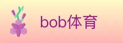 bob体育 Logo
